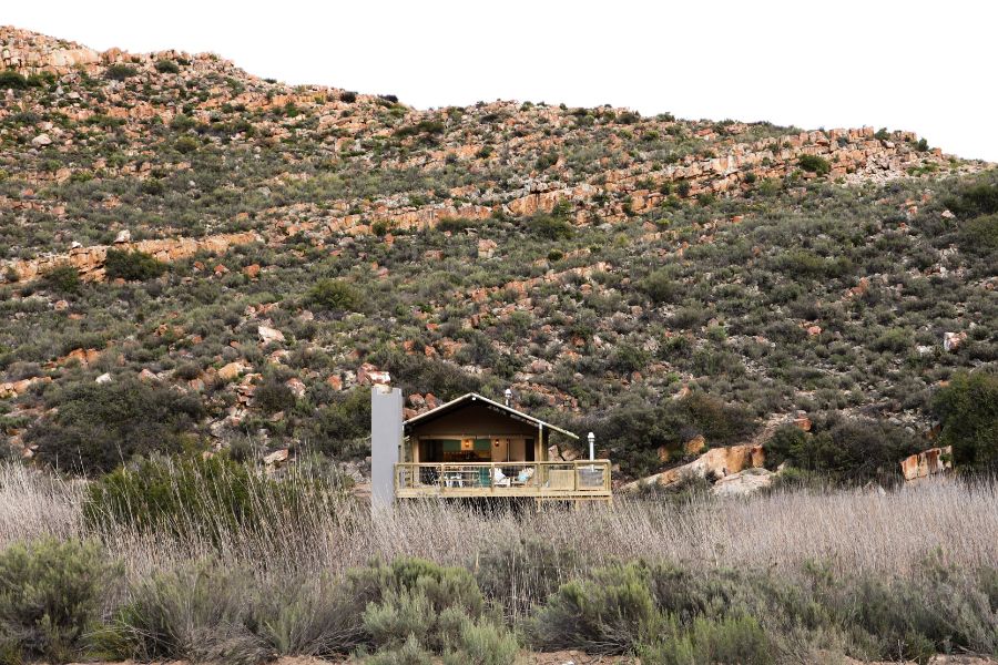 africamps at karoo 1 hex valley boutique glamping south africa